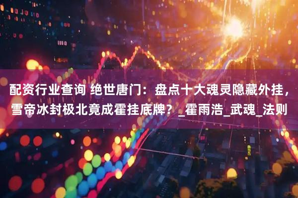 配资行业查询 绝世唐门：盘点十大魂灵隐藏外挂，雪帝冰封极北竟成霍挂底牌？_霍雨浩_武魂_法则