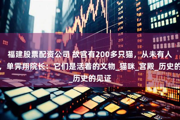 福建股票配资公司 故宫有200多只猫，从未有人驱赶，单霁翔院长：它们是活着的文物_猫咪_宫殿_历史的见证