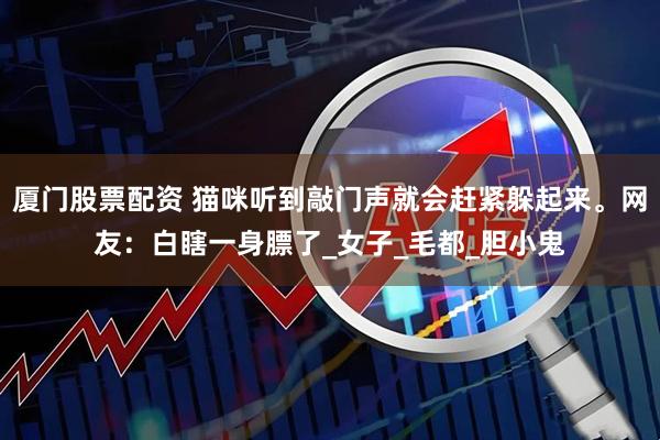 厦门股票配资 猫咪听到敲门声就会赶紧躲起来。网友：白瞎一身膘了_女子_毛都_胆小鬼