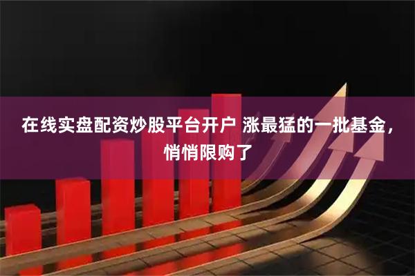 在线实盘配资炒股平台开户 涨最猛的一批基金，悄悄限购了